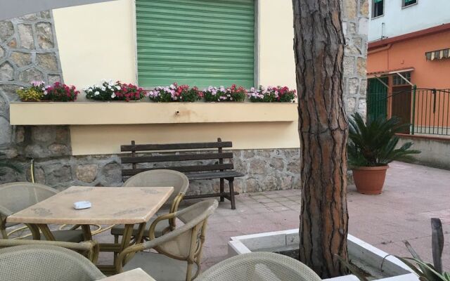 La Casa nella Pineta