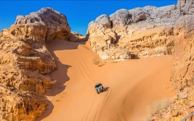 Bedouin habits tours camp