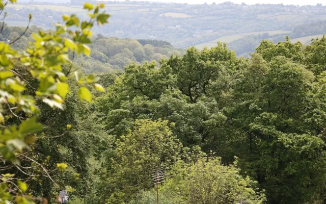 Hillside