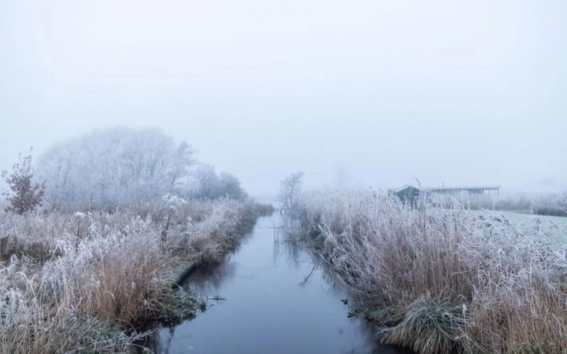 Camping de Veenhoop 9848