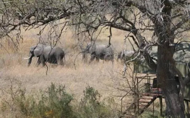 Nkasa Lupala Tented Lodge
