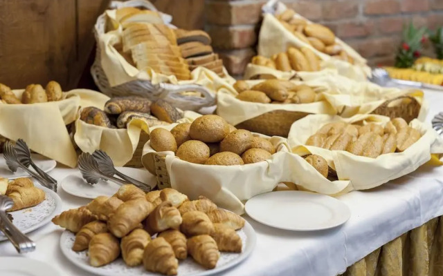 Hotel Zeleni Gaj - Sava Hotels & Resorts