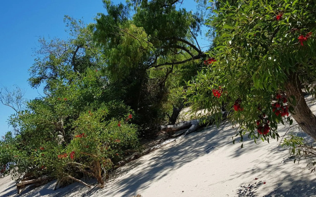 La Monturera, Loft de campo
