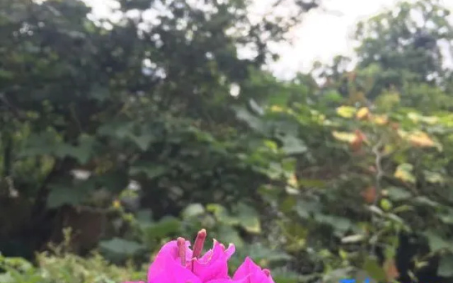 Hangzhou Yunlang Xiaoxuan (West Lake Lingyin Branch)