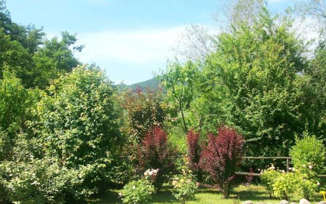 Parco Matildico Di Montalto