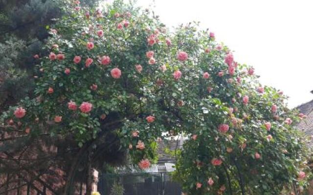 la maison rose: lieu atypique