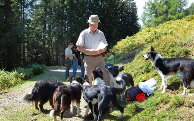 Small Pet-friendly Holiday Park With Nassfeld Card in High Season