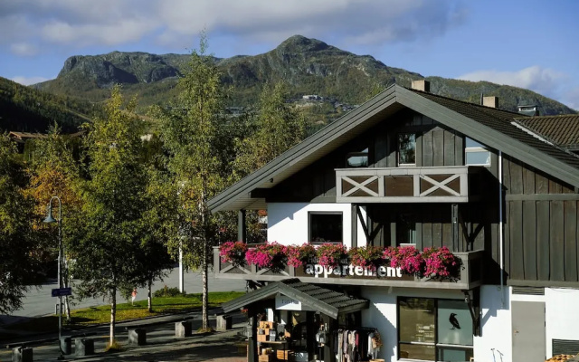 Hemsetunet Apartments