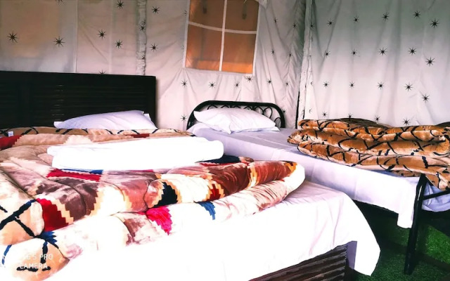 Pine pioneer the eco resort