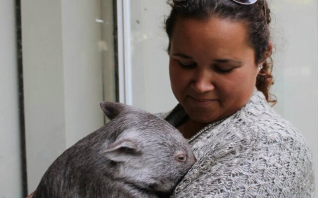 Fauna Australia Wildlife Retreat
