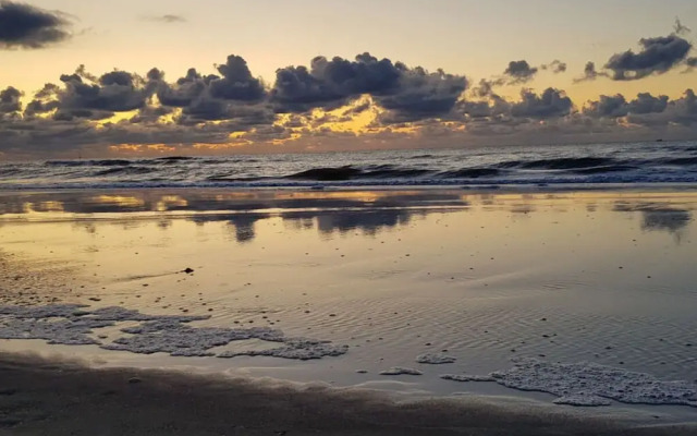 "de Zeehond" Strandslag