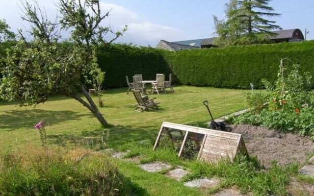 Eithin Fynydd