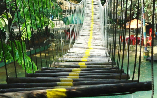 Parque Dos Igarapés