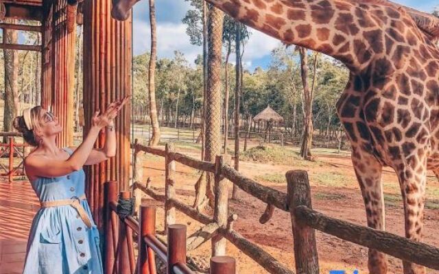 Trai Bi Do - Homestay