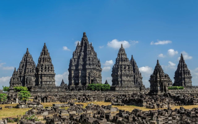Jogja Amazon Green
