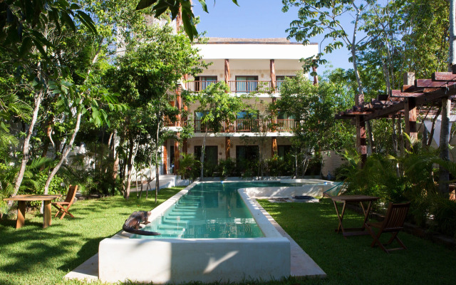 Casa Selva Orquideas