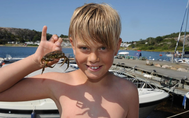 Saltviks Stugby & Camping