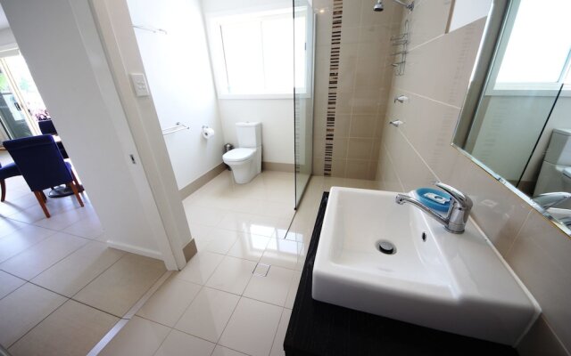 Geckos at South West Rocks