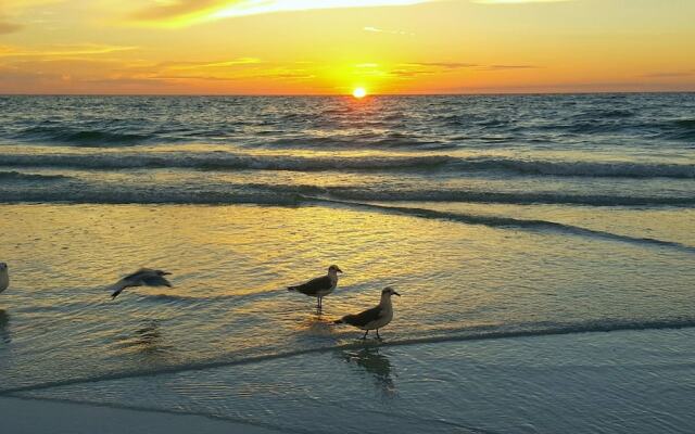 Treasure Island Vacations by TechTravel