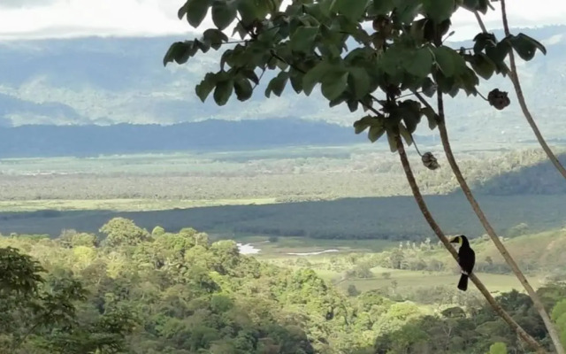 Mirador Osa