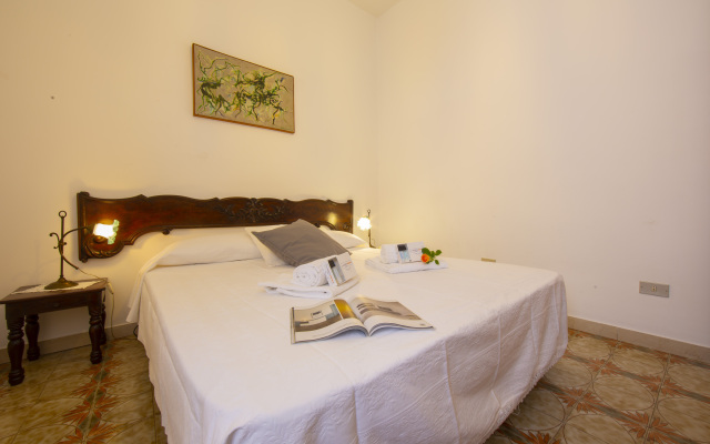 Glicine among vineyard