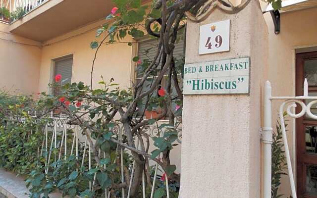 Bed And Breakfast Hibiscus