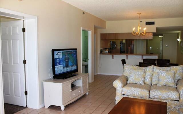 Beach Palms 505