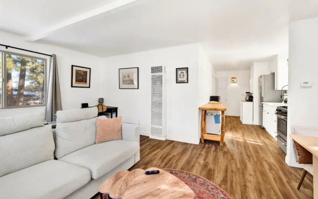 Sugar Bear Crossing #2496