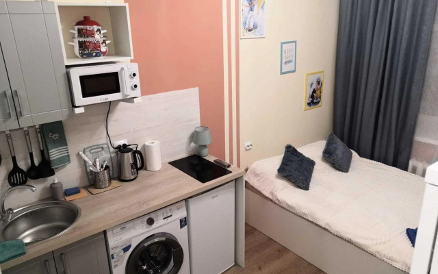 Apartments on line 14 of Vasilyevsky Island 97