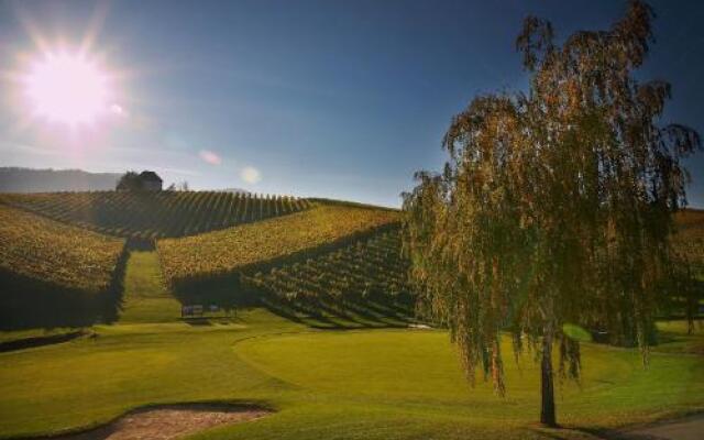 Wine Grower's Mansion Zlati Gric