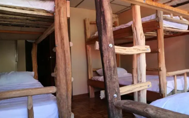 Golden Frog Hostel