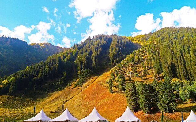 Sheen Woods Resort