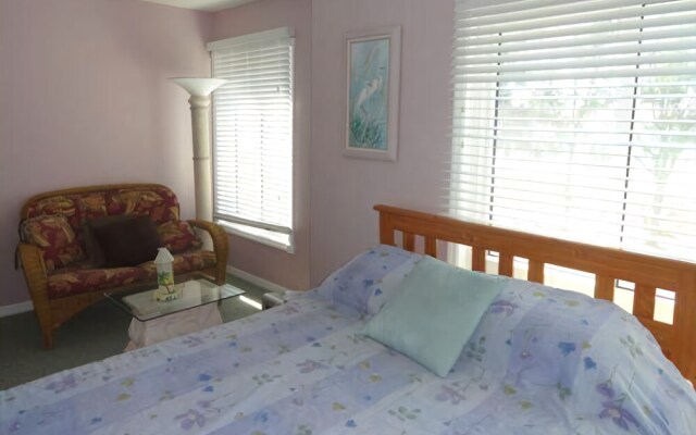 Dolphin Dance Both Units