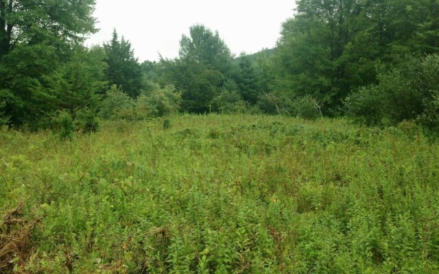 Tentrr - Clove Mountain Meadow