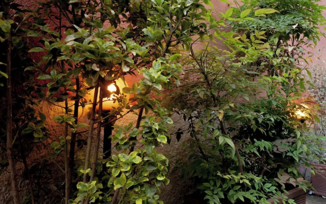 BnButler - Riccardo Galli 9