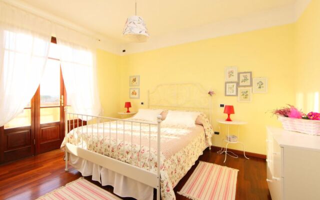 House Olivo Massarosa