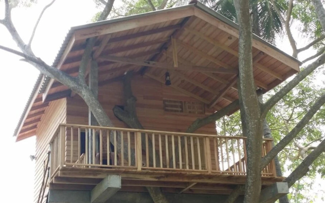 Wilpattu Tree House Hotel