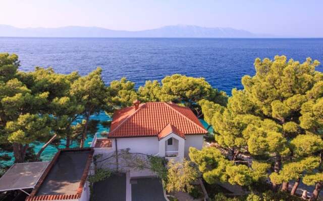 Ruz - Near Beach - 1 - A 301