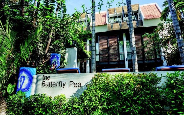 The Butterfly Pea