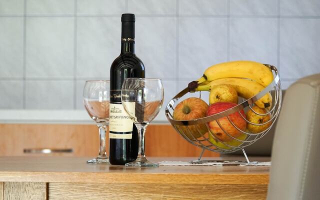 Studio Apartment Slivje