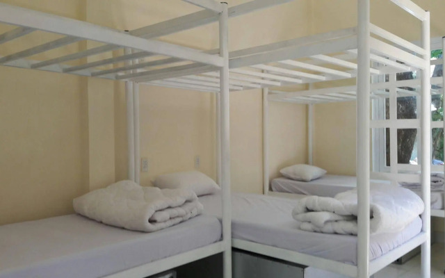 Oasis Bar and Hostel