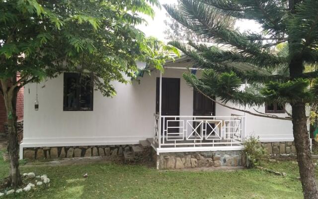 The Big Cat Den Resort