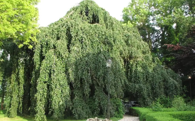 Landgoed Hotel Welgelegen