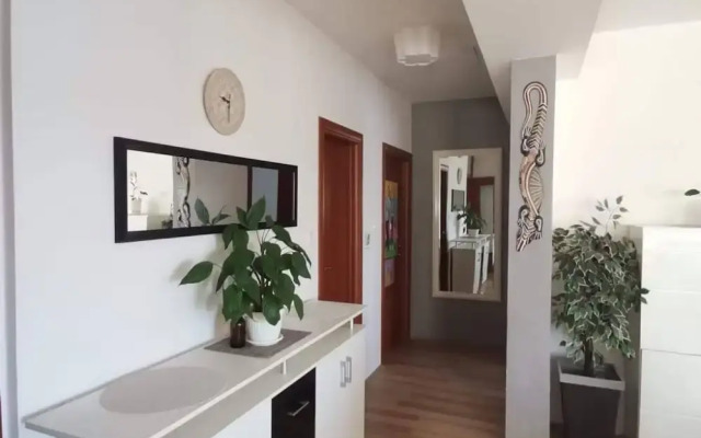 Luxury Seget Donji Apartments With Terrace and Sea View