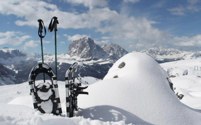 AlpenParks Chalet & Apartment Alpina Seefeld