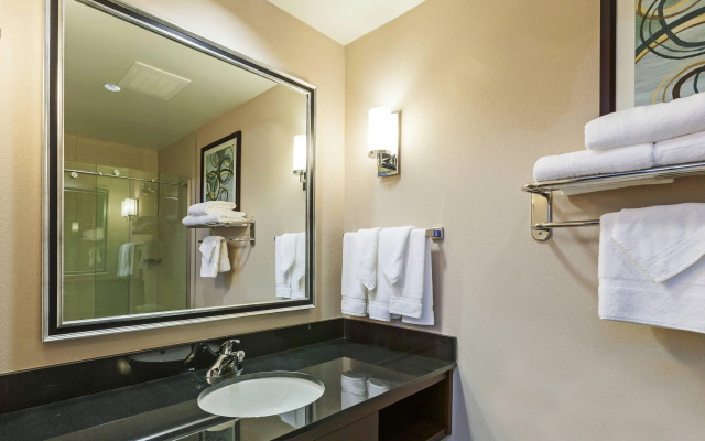 Clarion Hotel The Colony - Plano West