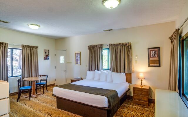 'ledge Lodge' Burkesville Getaway: Pool & Views!