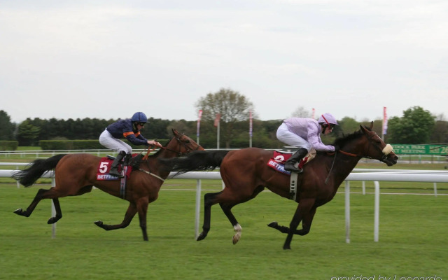 Holiday Inn Haydock M6 Jct23 by IHG