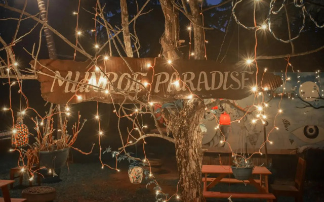 Munroe Paradise