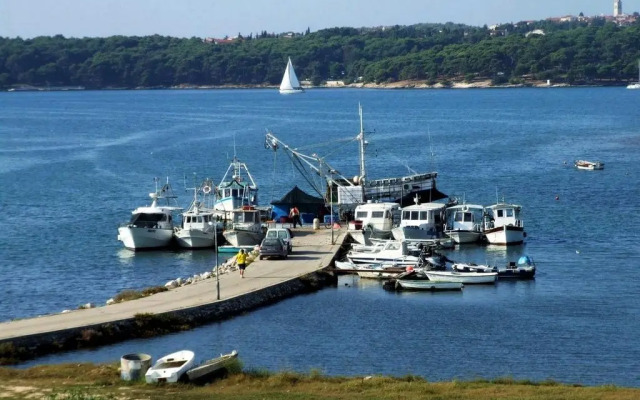 Apartments and rooms Eugenia